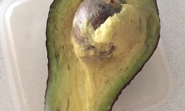 ‘This is life changing’: Woman reveals her simple trick that will keep avocados ripe for days – and you only need ONE ingredient