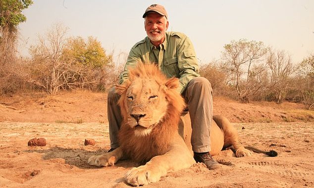 PIERS MORGAN: This video made me physically sick – next time, wake up the lion, take the gun away and let’s see how brave this pathetic, snivelling, cowardly excuse for a ‘hunter’ really is…