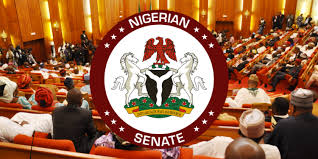 Boko Haram – Senate introduces bill for reformed  members